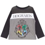 T-shirt enfant Harry Potter T-shirt
