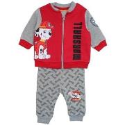 Jeggins / Joggs Jeans Paw Patrol Jogging