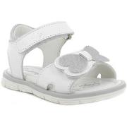 Sandales enfant Primigi 5916122