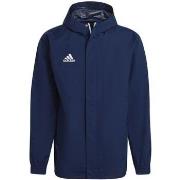 Blouson adidas -