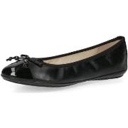 Ballerines Caprice -