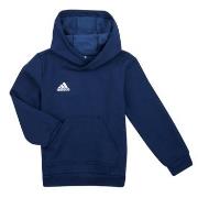 Sweat-shirt enfant adidas ENT22 HOODY Y