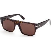 Lunettes de soleil Tom Ford FT0907 DUNNING-02 Lunettes de soleil, 55 m...