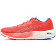 Chaussures Puma 376262-21