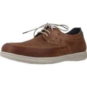 Derbies Fluchos F0119