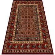 Tapis Rugsx Tapis en laine KASHQAI 4301 300 oriental, 120x170 cm