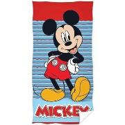 Serviettes et gants de toilette Disney TA11820