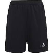 Short enfant adidas Ent22 tr shoy