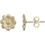 Boucles oreilles Phebus Boucles d'oreilles pour Elle