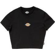 T-shirt Dickies DK0A4XPOBLK1