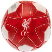 Accessoire sport Liverpool Fc TA10337