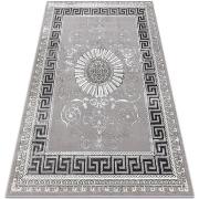 Tapis Rugsx Tapis BLISS Z160AZ246 gris foncé / gris 160x220 cm