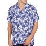 Chemise Shilton Chemise palm SUMMER