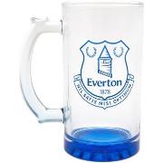 Accessoire sport Everton Fc TA10713