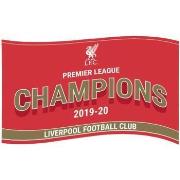 Accessoire sport Liverpool Fc Premier League Champions