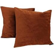 Coussins Avenue Literie Lot de 2 coussins déco 45x45 velours Cognac