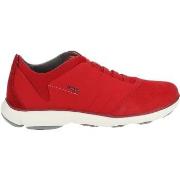 Baskets basses Geox Sneaker