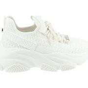 Baskets basses Steve Madden Sneaker