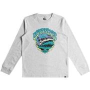 T-shirt enfant Quiksilver The Peak