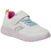 Baskets basses enfant Geox J Sprintye