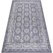 Tapis Rugsx Tapis SIZAL SION Cadre, ornement, vintage 2832 160x220 cm