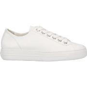 Baskets basses Paul Green Sneaker