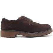 Ville basse Exton scarpa casual in camoscio