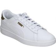 Chaussures Puma 390987-21