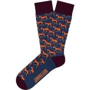 Chaussettes Jimmy Lion -