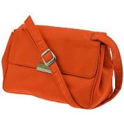 Sac Bandouliere Regole Patta Spalla30x18x9