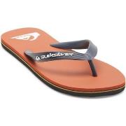 Tongs Quiksilver Molokai Core