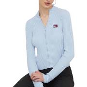 Sweat-shirt Tommy Hilfiger DW0DW17243