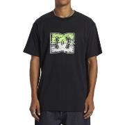 T-shirt DC Shoes DC Star Inline