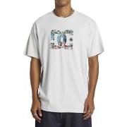 T-shirt DC Shoes DC Star Fill