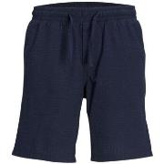 Short Jack &amp; Jones 161401VTPE24