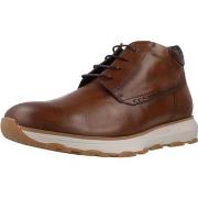 Derbies Fluchos F2079