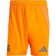 Pantalon adidas R.MADRID 25 A SHO NA