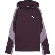 Sweat-shirt Puma EVOSTRIPE Hoodie