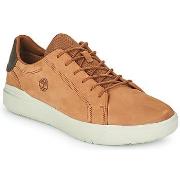 Baskets basses Timberland SENECA BAY OXFORD