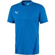 Debardeur Puma Teamgoal 23 Jersey