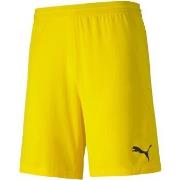 Short Puma Teamfinal 21 Knit Shorts