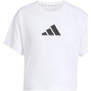 Chemise adidas TR-ES BL TEE