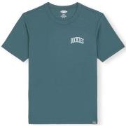 T-shirt Dickies Aitkin Chest Logo T-Shirt - Green