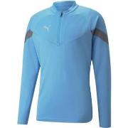 Veste Puma Teamfinal Training 14 Zip