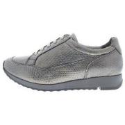 Baskets Jj Footwear Aria K