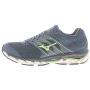 Chaussures Mizuno Wave Paradox 5 M