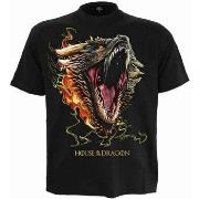 T-shirt Spiral Dragon