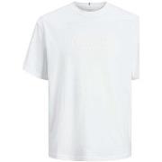 T-shirt Jack &amp; Jones 168479VTAH24