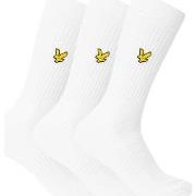 Chaussettes Lyle &amp; Scott Lot De 3 Chaussettes Hamilton Sport