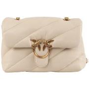 Sac Pinko Sac Femme